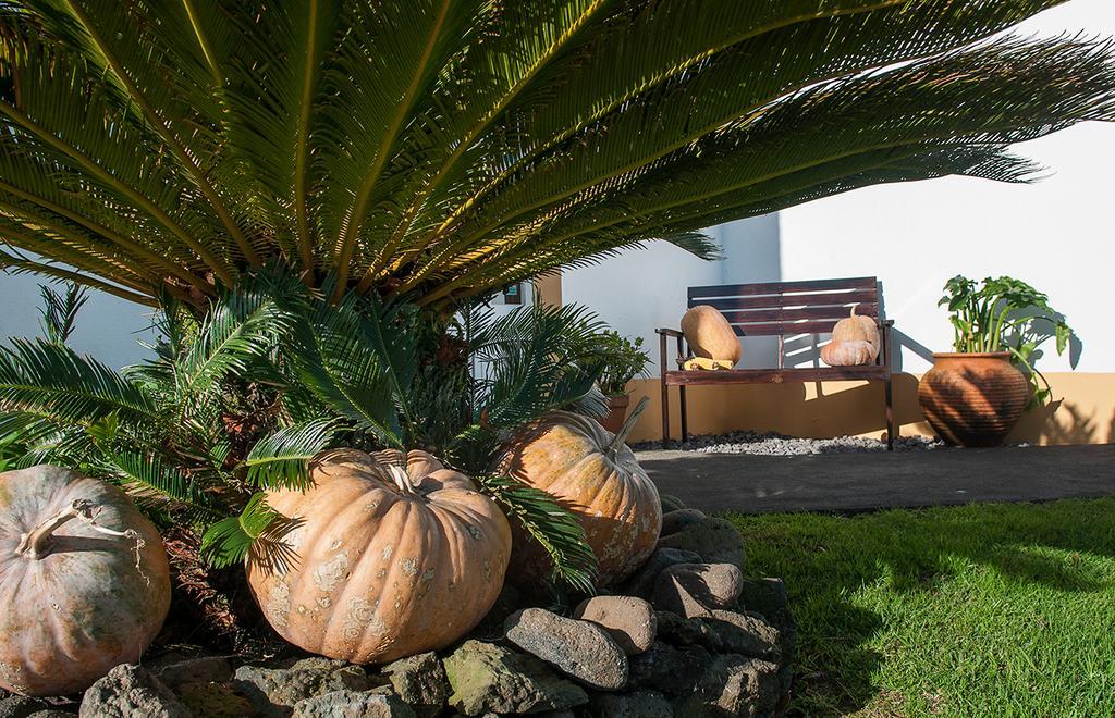 Bed and Breakfast Vila Belgica Horta  Exteriér fotografie